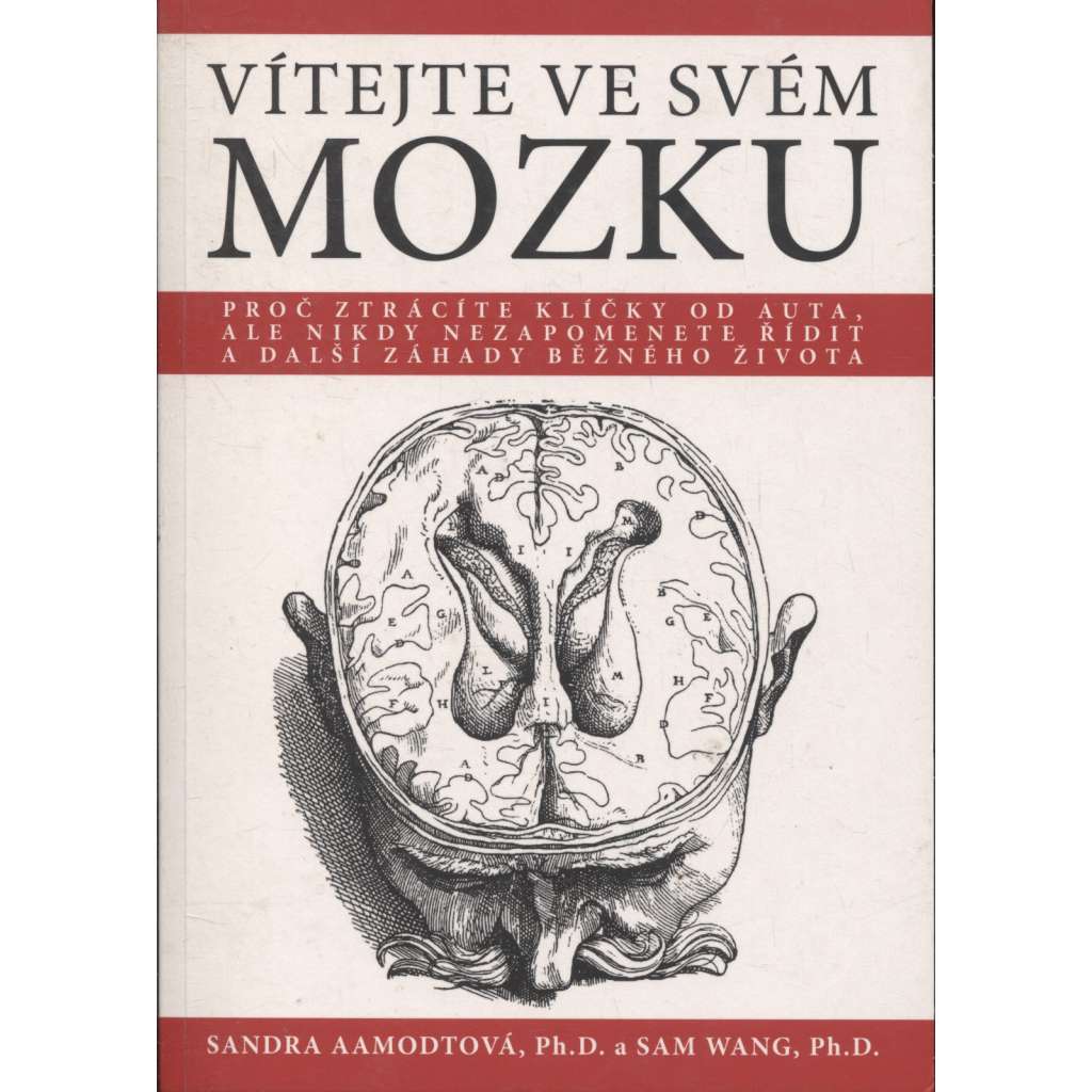 Vítejte ve svém mozku (mozek)