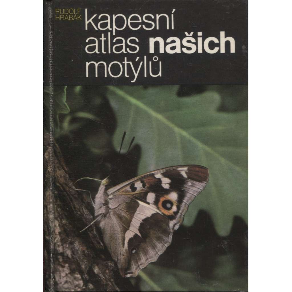 Kapesní atlas našich motýlů (motýl, motýli)