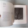 In Focus: Alfred Stieglitz. Photographs from The J. Paul Getty Museum [fotografie, fotografické sbírky, umění]