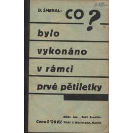 Co bylo vykonáno v rámci prvé pětiletky (levicová literatura, komunistická literatura)