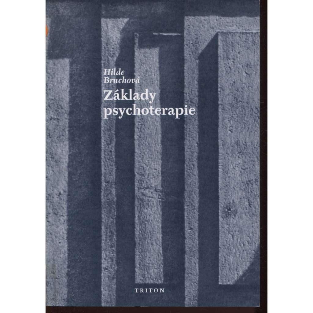 Základy psychoterapie