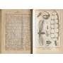 Taschenbuch der Reisen, ročník 1 [1802; Afrika; mapa Afriky; rytiny; ilustrace; zeměpis; geografie; 18. století]