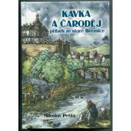 Kavka a čaroděj: příběh ze staré Březnice [historický román]