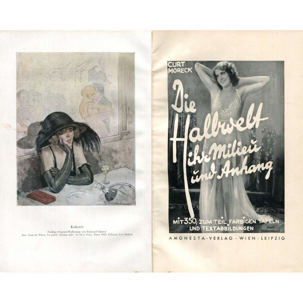 Die Halbwelt, ihr Milieu und Anhang [1932; moderní umění; prostituce; erotika]