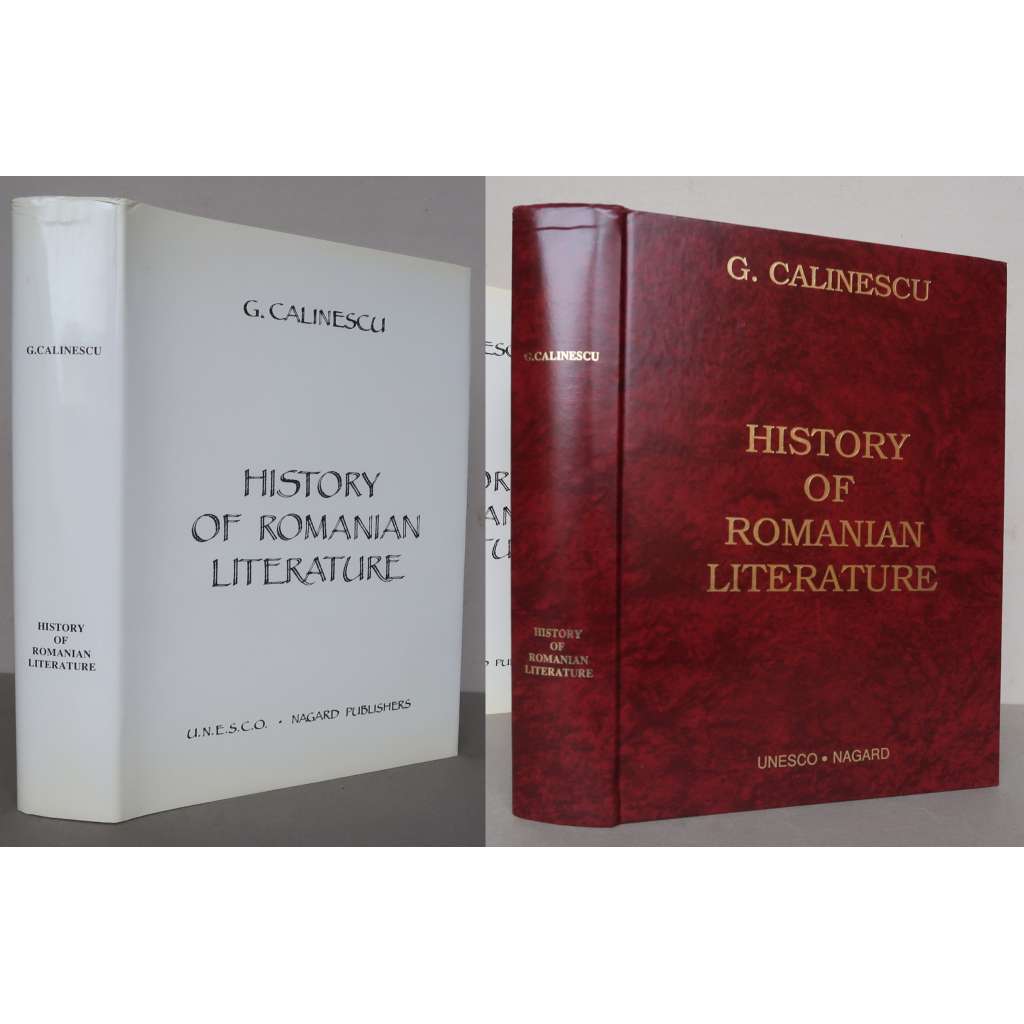 History of Romanian Litterature [rumunská literatura, dějiny rumunské literatury, rumunští spisovatelé, Rumunsko]