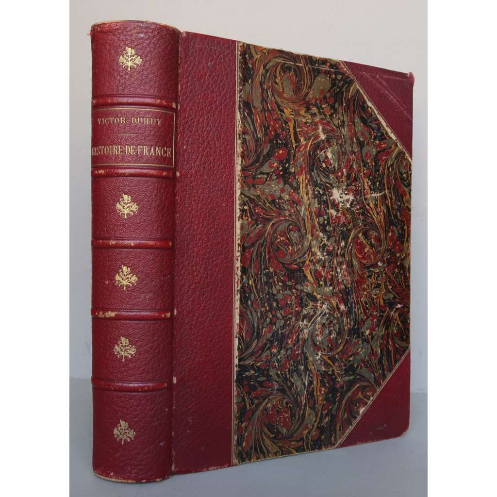 Histoire de France. Depuis l'invasion des Barbares dans La Gaule Romaine, jusqu'a nos jours [Dějiny Francie od r. 481 od 2. poloviny 19. století, vazba kůže - polokožená]