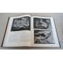 Cahiers d’Art, Deuxieme  Anée, 1927 + Supplement „Feuilles volantes“ + „Qui Batira le Palais des Nations a Geneve?“ [moderní umění, avantgarda, umělecké časopisy, vazba kůže - polokožená]