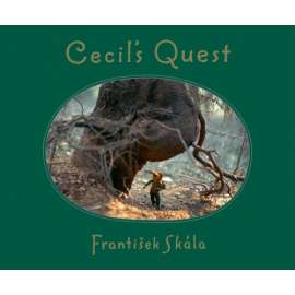 Cecil's Quest
