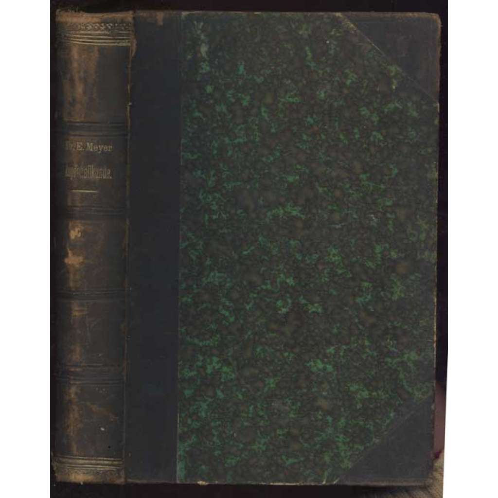 Handbuch der Augenheilkunde. Vierte vom Verfasser vermehrte und verbesserte Auflage. Mit Benutzung der von Dr. Block übersetzten ersten Auflage. Mit 244 in den Text gedruckten Holzschnitten [oční lékařstí, oftalmologie]