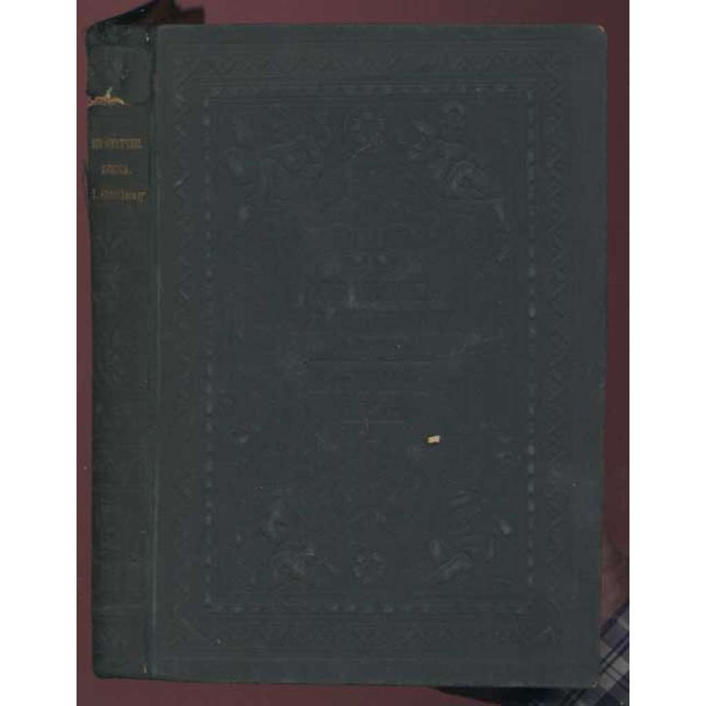 Abyssinien und die übrigen Gebiete der Ostküste Afrikas. Mit 18 Vollbildern und 63 in den Text gedruckten Abbildungen [místopis, geografie Abysinie, Etiopie]
