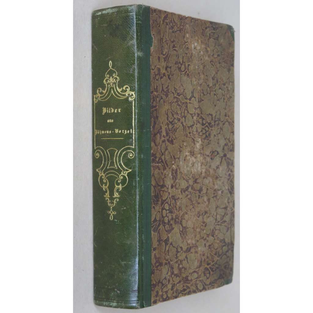 Bilder aus Böhmens Vorzeit. Burgvesten und Ritterschlösser in Original-Ansichten dargestellt. Gezeichnet von Carl Würbs, auf Stahl gestochen von den vorzüglichsten deutschen und englischen Künstlern [Čechyhrady, zámky, rytiny, místopis, oceloryty]