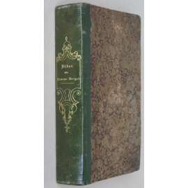 Bilder aus Böhmens Vorzeit. Burgvesten und Ritterschlösser in Original-Ansichten dargestellt. Gezeichnet von Carl Würbs, auf Stahl gestochen von den vorzüglichsten deutschen und englischen Künstlern [Čechyhrady, zámky, rytiny, místopis, oceloryty]