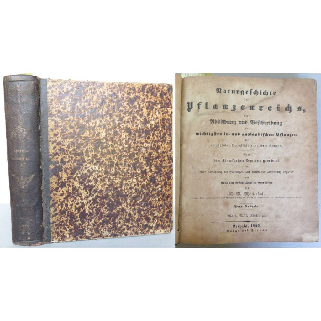 Naturgeschichte des Pflanzenreichs, oder Abbildung und Beschreibung der wichtigsten in- und ausländischen Pflanzen ... [rostliny, botanika, herbář]