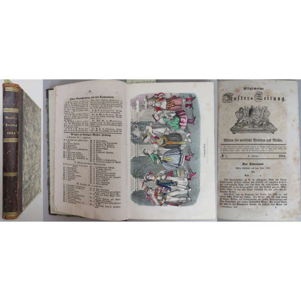 Journal des Demoiselles; Sixième année, 1838 [móda, kolorované litografie, staré tisky]