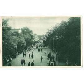 Františkovy Lázně, Lázeňský park
