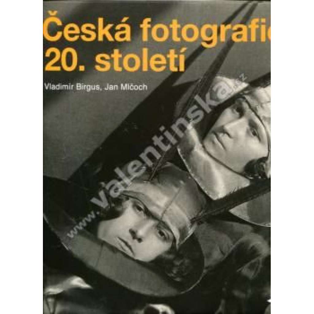 Česká fotografie 20. století - [monografie české moderní tvorby -Sudek, Funke ,Drtikol ,Hák,Tmej a další]