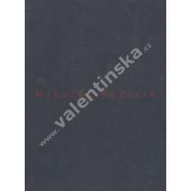Mikuláš Rachlík (výstavní katalog, malířství)