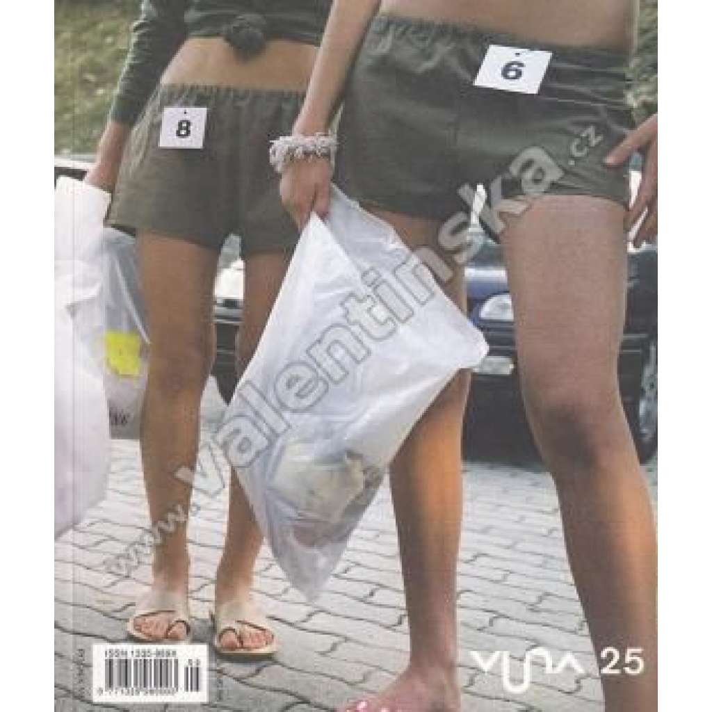 Vlna 25/2005 (časopis, kultura, mj. Umelec z Bródna, Galéria Lumen, Entrance. Nová krv na pražskej galerijnej scéne II., Vosto5 divadlo nastupujúcej generácie, Tanec v Prahe)