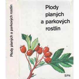 Plody planých a parkových rostlin (rostliny)