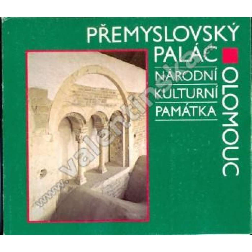 Přemyslovský palác v Olomouci [Olomouc, románská architektura, Přemyslovci, hrad, popis stavby, raný středověk]