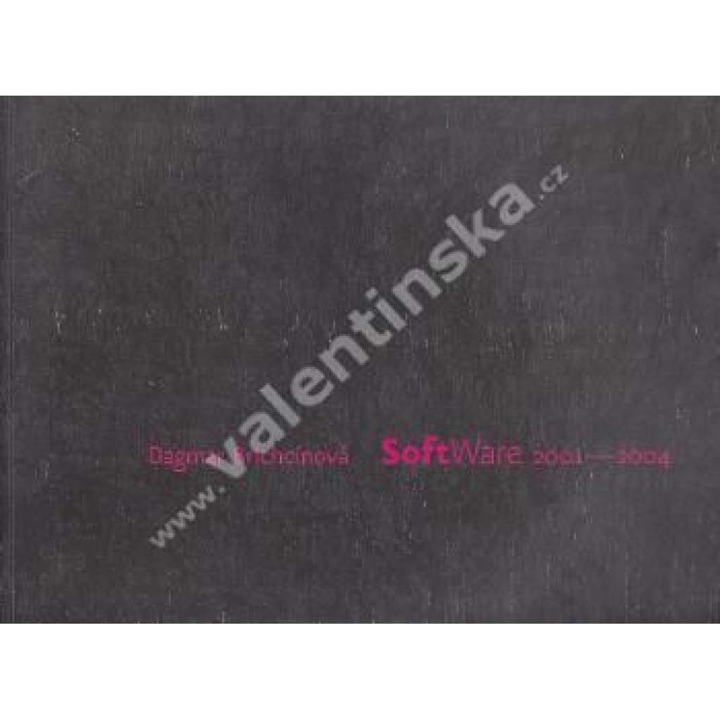 Dagmar Brichcínová. Software 2001-2004 (výstavní katalog, malířství, abstrakce)