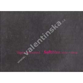 Dagmar Brichcínová. Software 2001-2004 (výstavní katalog, malířství, abstrakce)