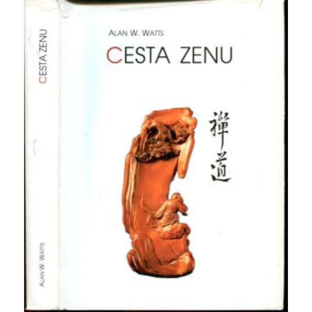 Cesta zenu