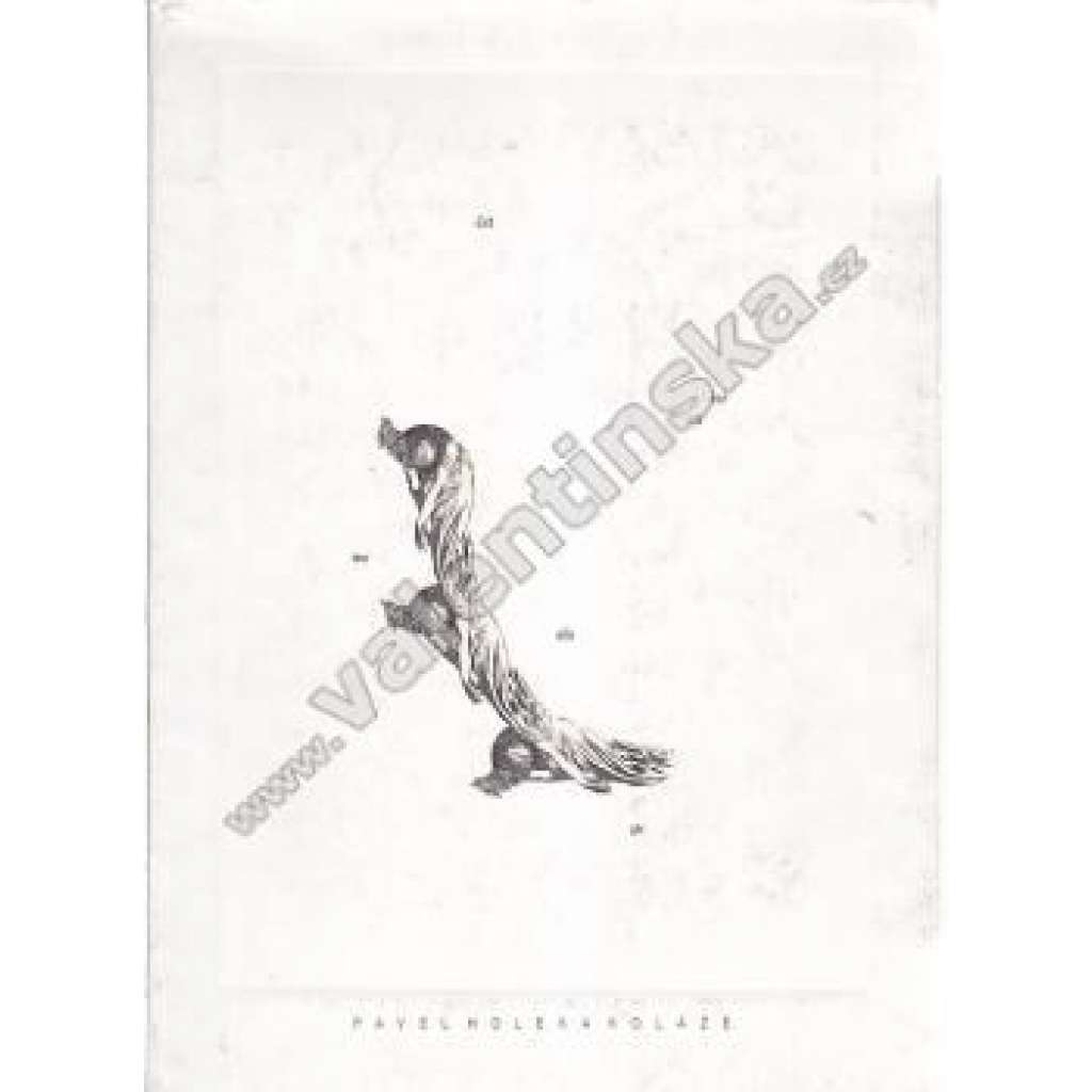 Koláže ( Pavel Holeka) Koláže ( Pavel Holeka)