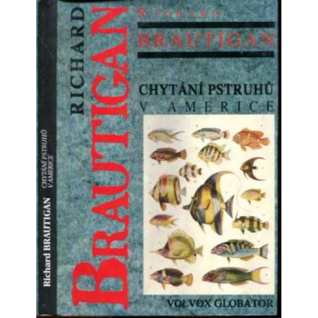 Chytání pstruhů v Americe