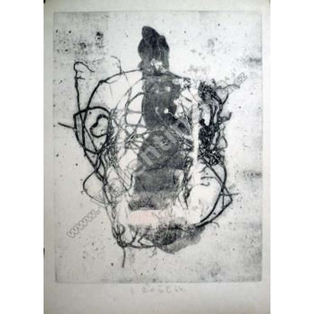 Hnízdo, materiálový tisk, Bohumil Čížek (1913 - 1989)