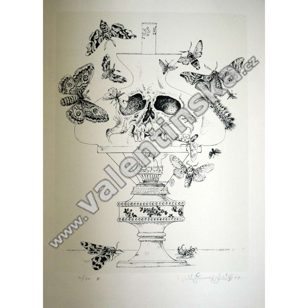 Jiří Švengsbír (1921 - 1983) Můry Litografie, 1977; 3/20 - podepsáno. Rozměry: 305 x 224.