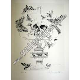 Jiří Švengsbír (1921 - 1983) Můry Litografie, 1977; 3/20 - podepsáno. Rozměry: 305 x 224.