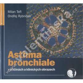 Asthma bronchiale v příčinách a klinických obrazech (zdraví, astma, diagnostika)