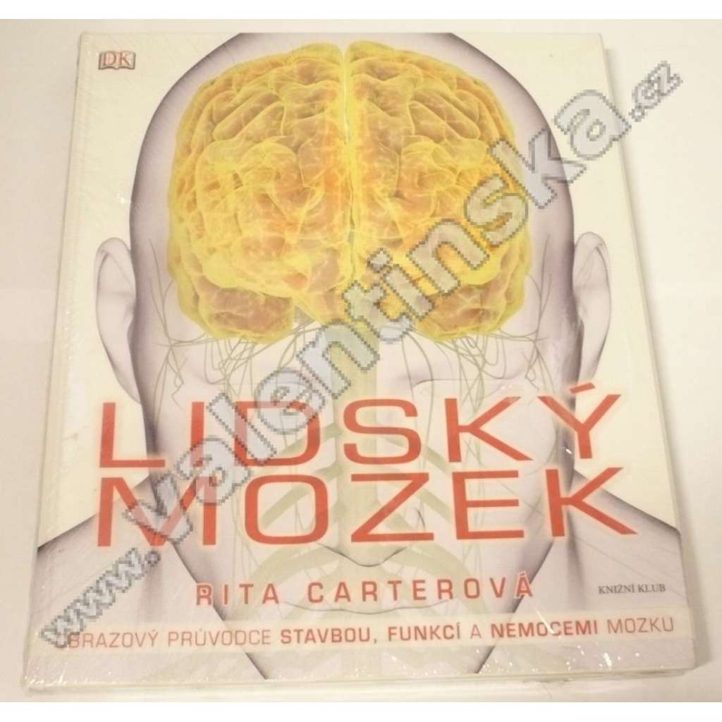 Lidský mozek (anatomie, smysly, funkce)