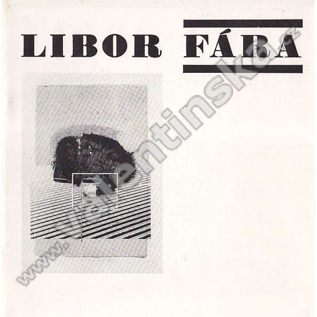Libor Fára (výstavní katalog, malířství, abstrakce)