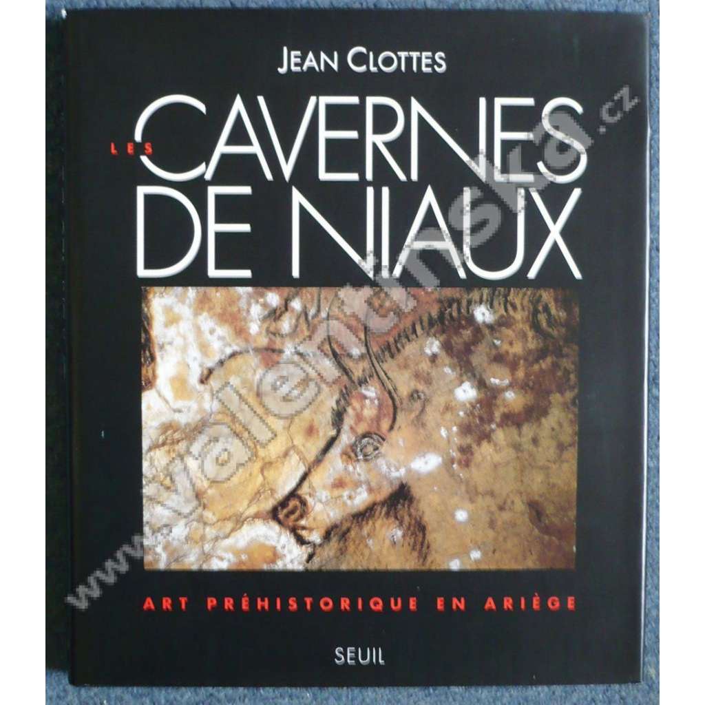 Les cavernes de Niaux