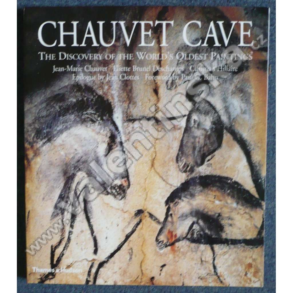 Chauvet Cave. The Discovery of the World's Oldest Paintings (Chauvetova jeskyně, archeologie, pravěké umění, malířství)