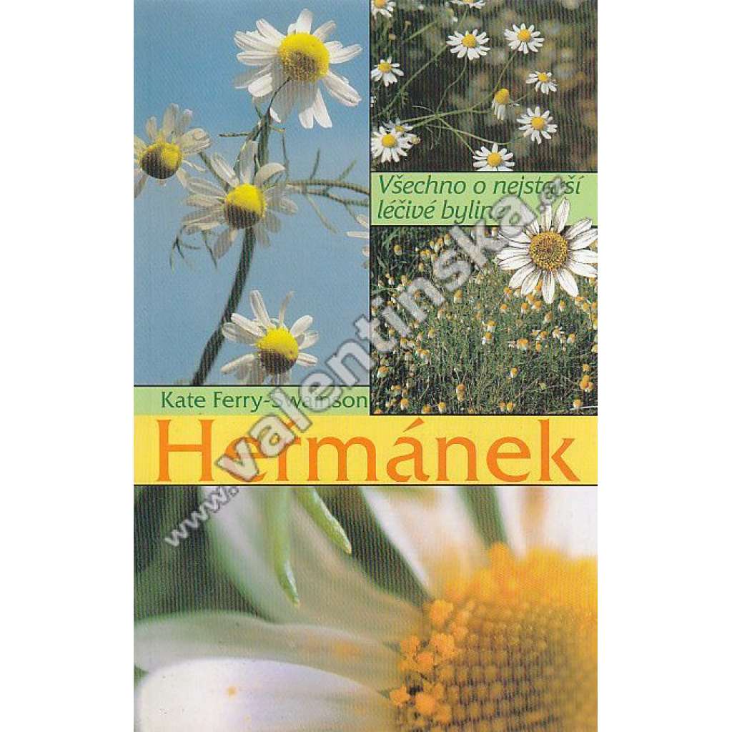 Heřmánek ( léčivé byliny) Heřmánek ( léčivé byliny)