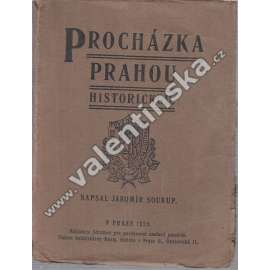 Procházka Prahou historickou (Průvodce, Praha, historie, mj. Klášter na Slovanech, Rudolfinum, Starý židovský hřbitov aj.)