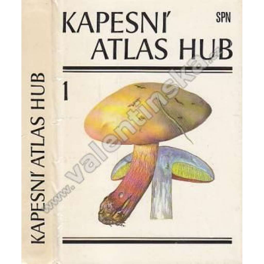 Kapesní atlas hub [houby našich lesů, houbaření, barevné ilustrace, obrazový atlas]