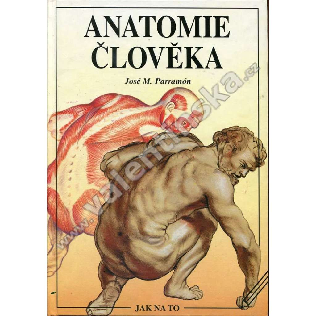Anatomie člověka (edice: Jak na to) (kresba, malba, příručka)