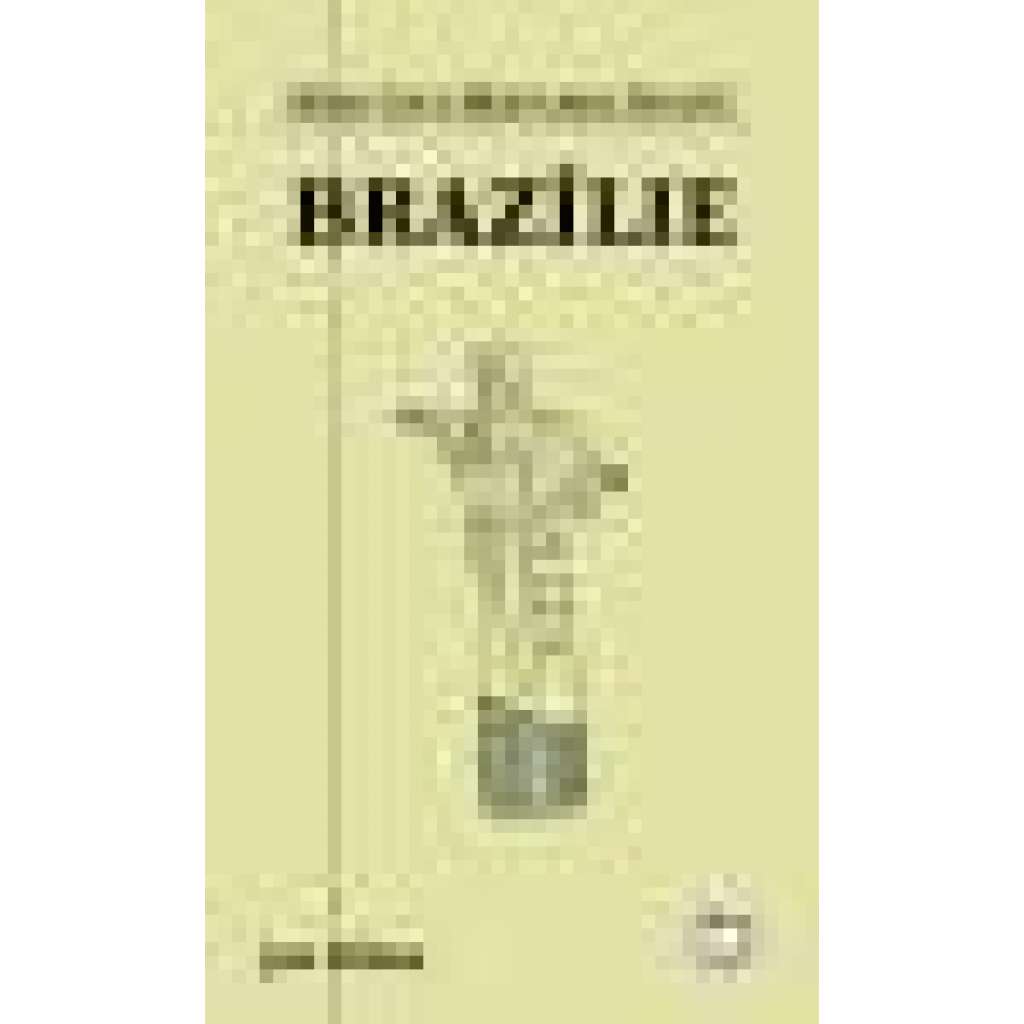 Brazílie - Stručná historie států