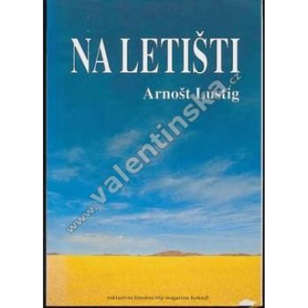 Na letišti