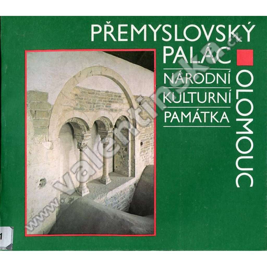 Přemyslovský palác v Olomouci [Olomouc, románská architektura, Přemyslovci, hrad, popis stavby, raný středověk]