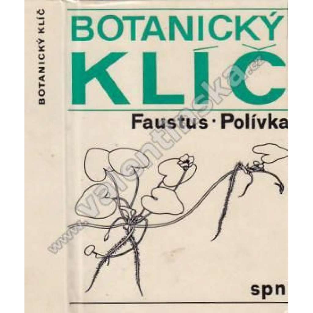 Botanický klíč - Klíč k určování 1000 nejdůležitějších cévnatých rostlin (rostliny, květiny, flora)