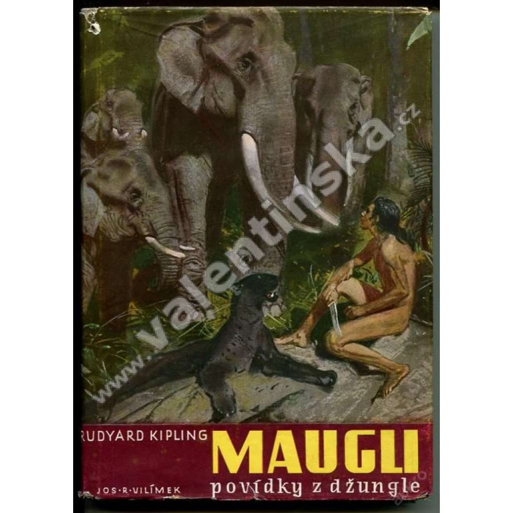 Maugli - povídky z džungle [Mauglí - obálka a ilustrace Zdeněk Burian] 1947