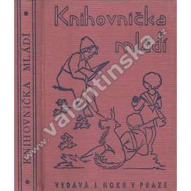 Knihovnička mládí