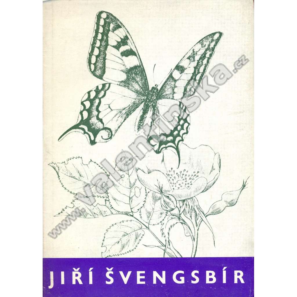 Jiří Švengsbír: Grafika