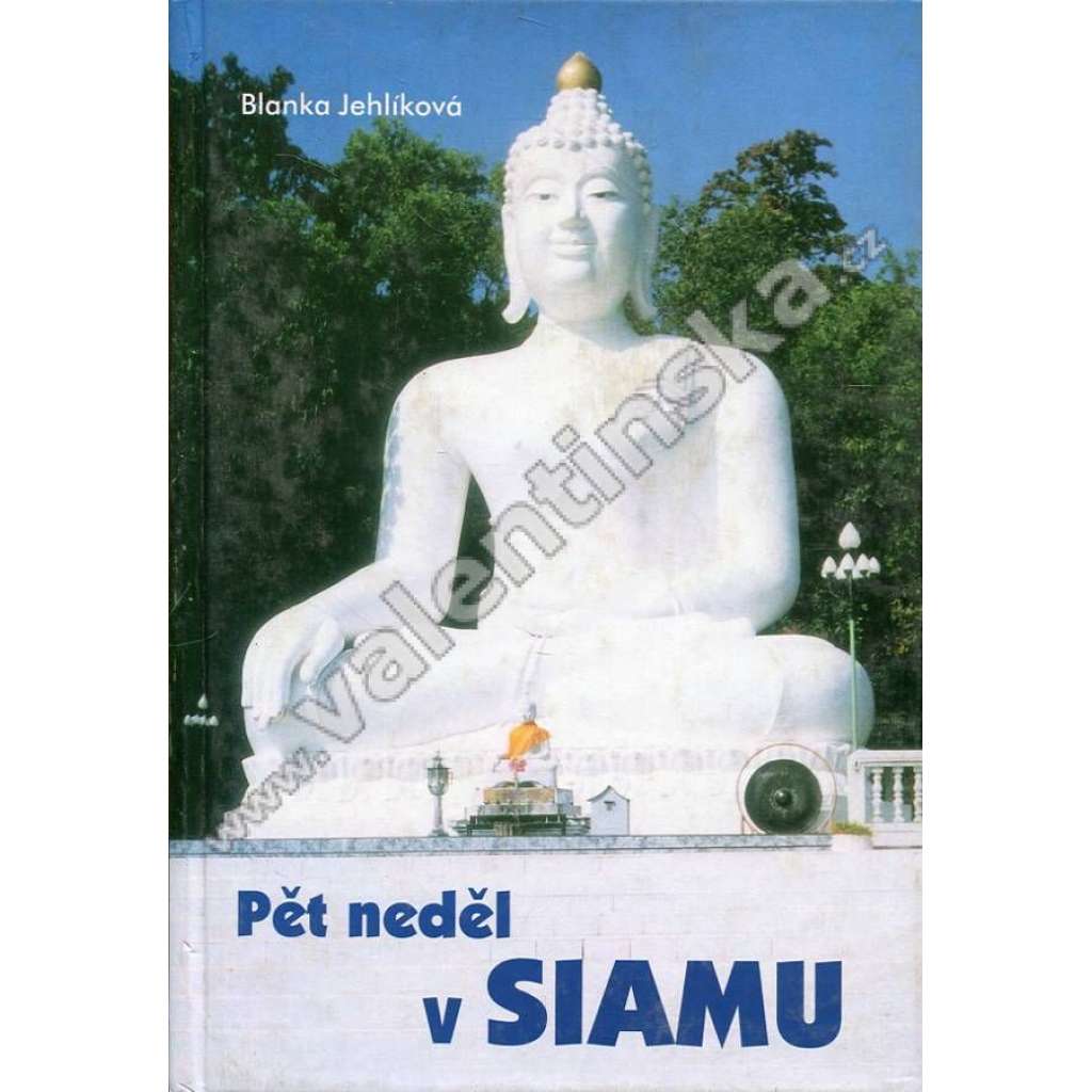 Pět neděl v Siamu