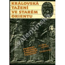 Královská tažení ve starém Orientu - prameny k dějinám starověké Palestiny [Palestina, Svatá země, Izrael, Egypt, Mezopotámie a jejich dějiny, starověk Od Sinuheta k Nabukadnezarovi]